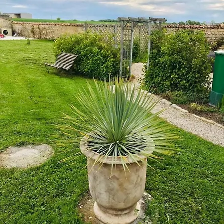 La Belle Parenthese * Vergné